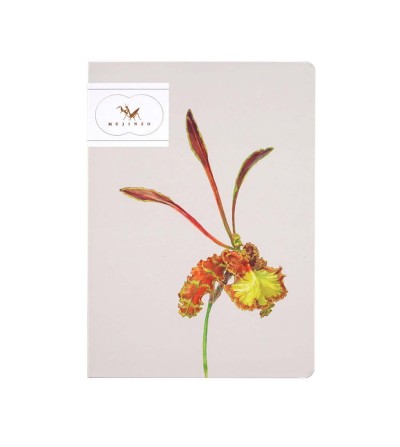 Mujinzo Cuaderno A5 Rayado Psychopsis Papilio